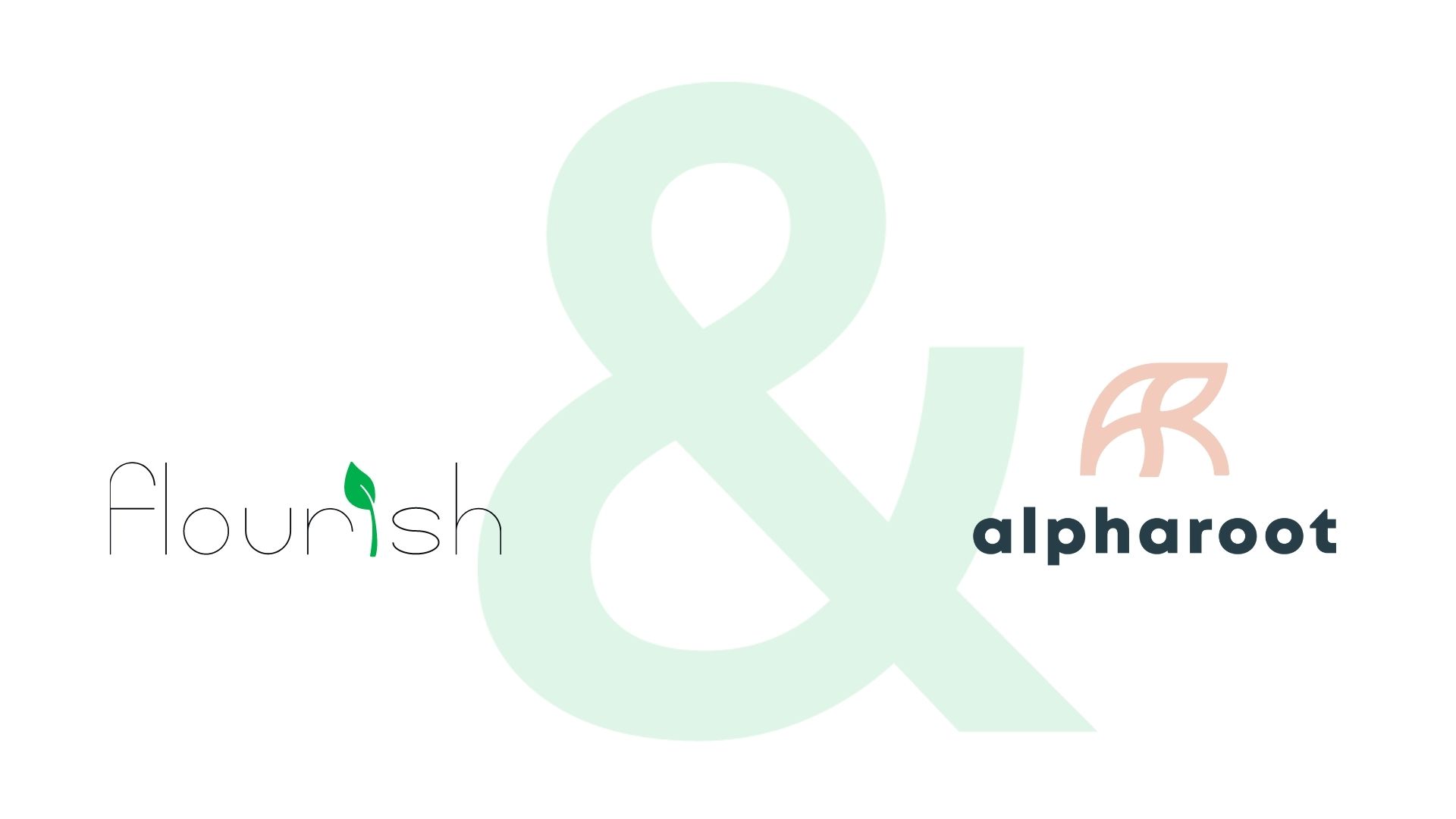 Alpha Heatmap Flourish - Premium Light Pattern Gallery - Ultra HD